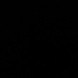 Meet your Posher, Ceez